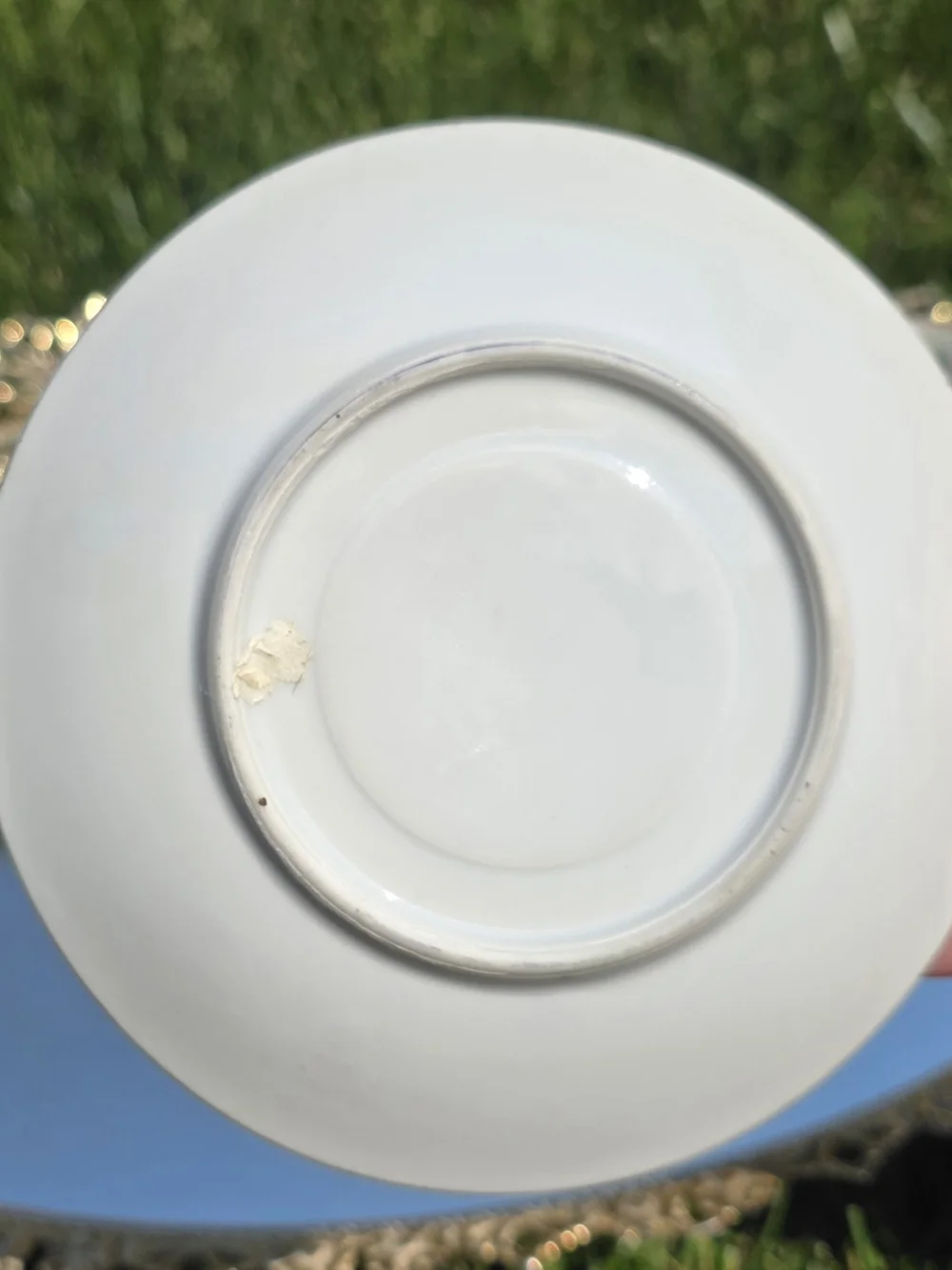 Ucagco September Aster, Vintage Teacup And Saucer  Set
